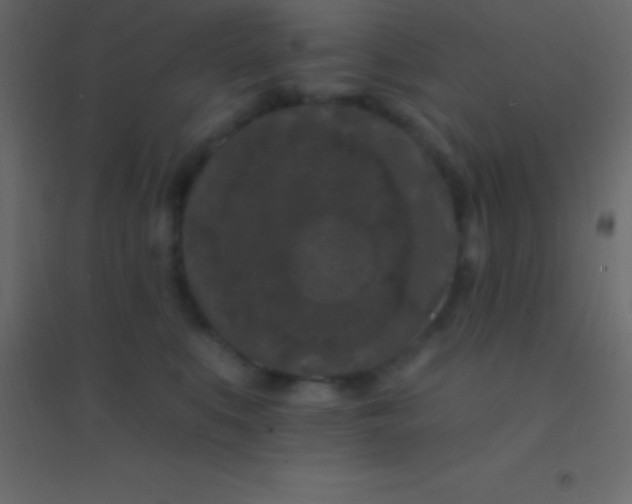 X0000094960519200712131648