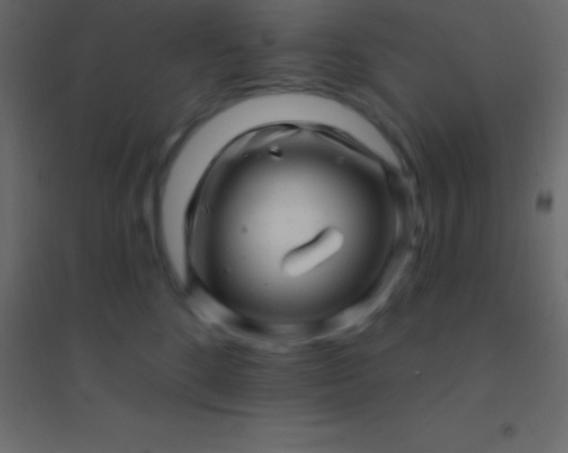 X0000094960520200712131648