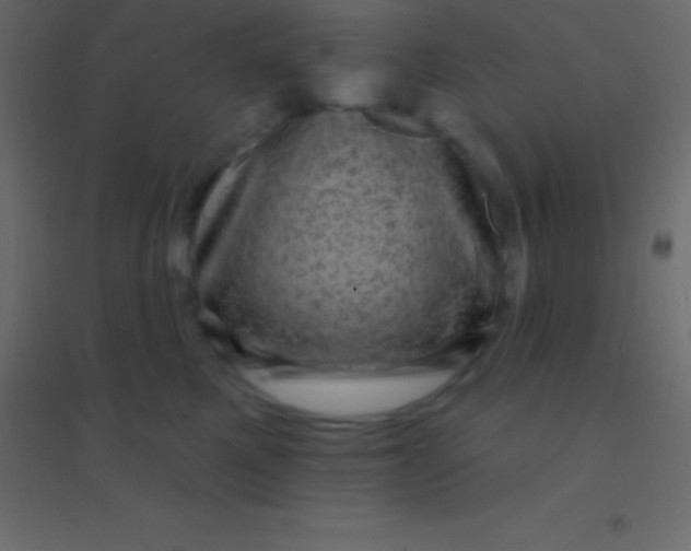 X0000094960521200712131648