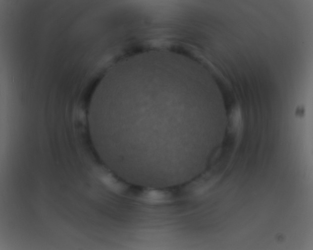 X0000094960522200712131648