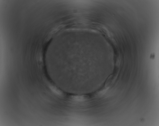 X0000094960524200712131648