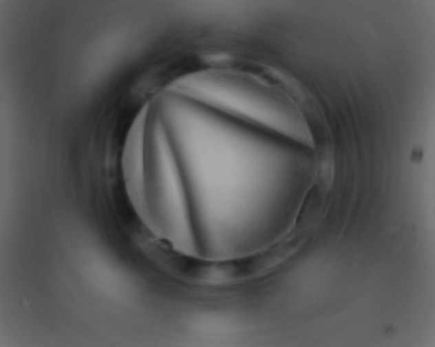 X0000094960525200712131648