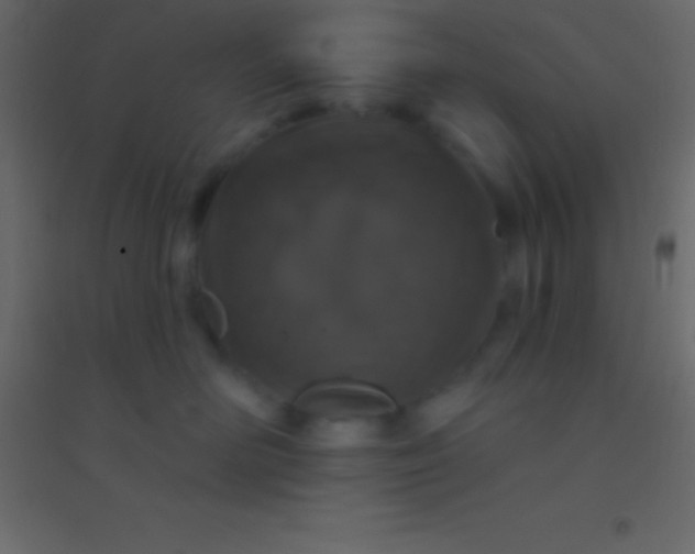 X0000094960526200712131648