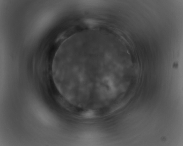 X0000094960527200712131648