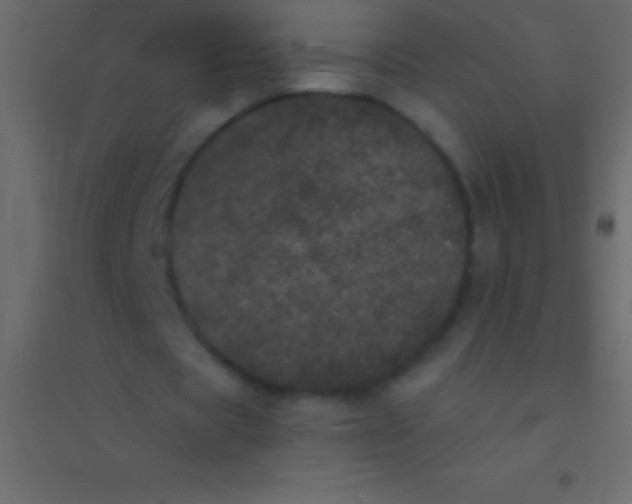 X0000094960529200712131647