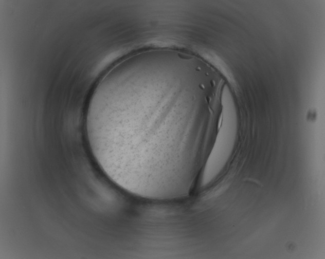 X0000094960530200712131647