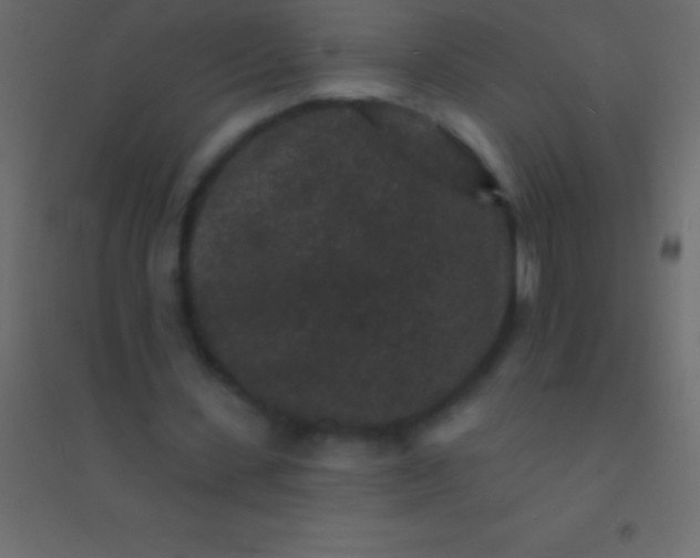 X0000094960531200712131647