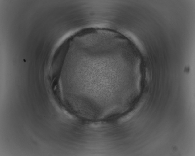 X0000094960532200712131647