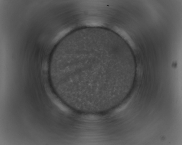 X0000094960533200712131647