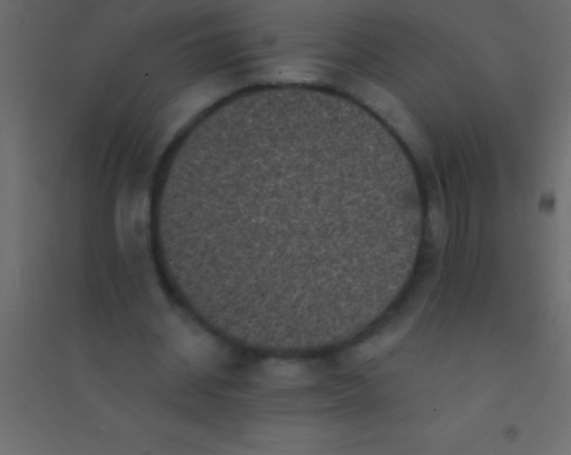 X0000094960534200712131647