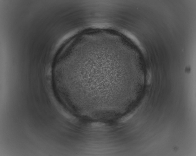 X0000094960535200712131647