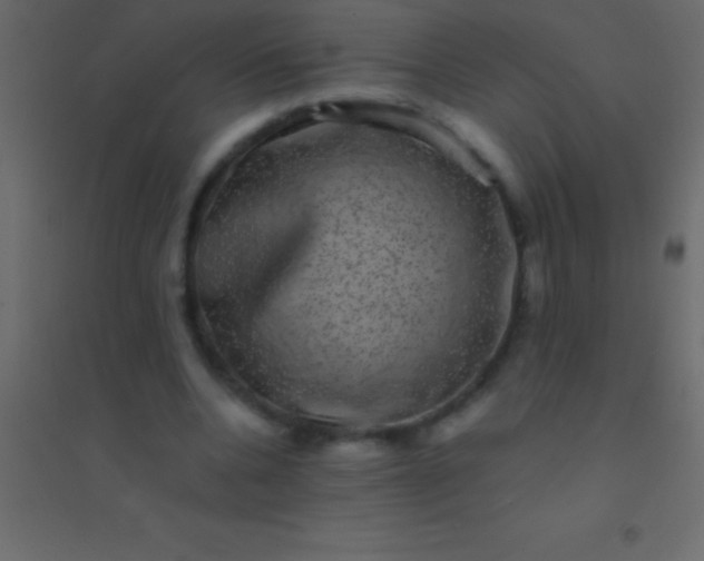 X0000094960536200712131647