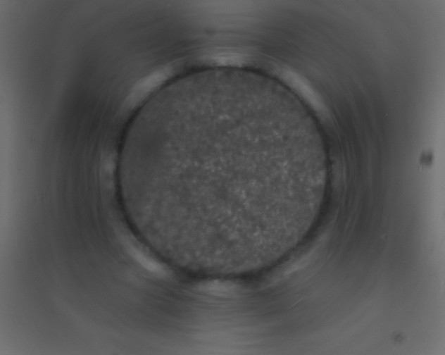 X0000094960537200712131647