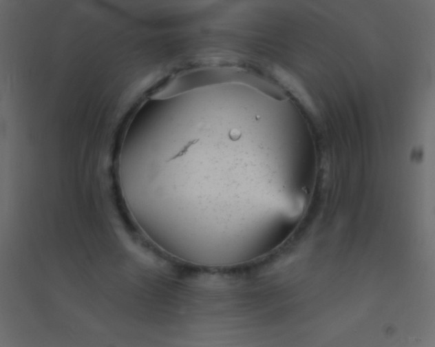 X0000094960538200712131647