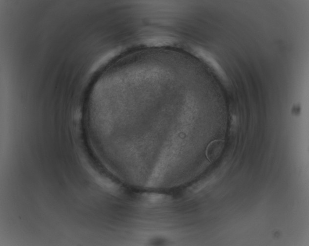 X0000094960539200712131647