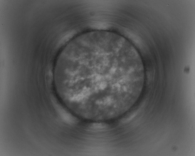 X0000094960541200712131647