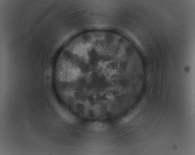 X0000094960542200712131647