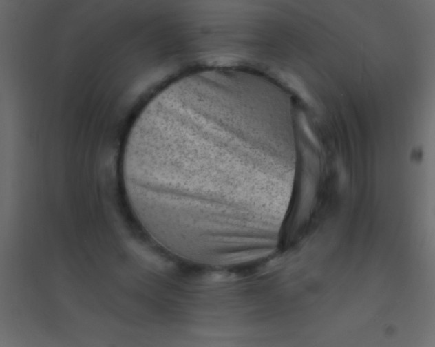 X0000094960543200712131647