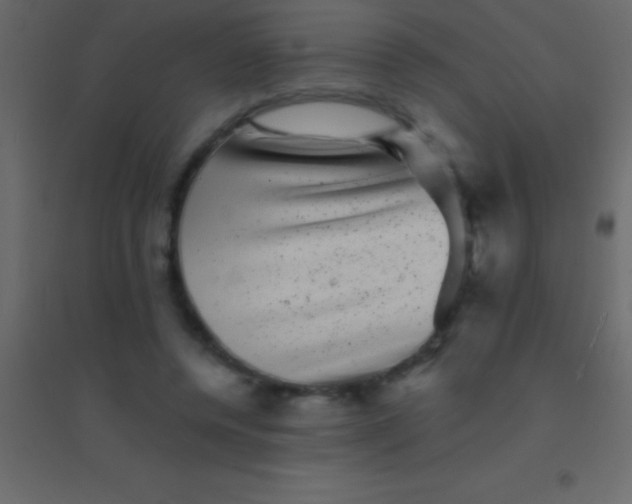 X0000094960544200712131647