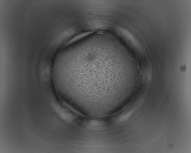 X0000094960546200712131647