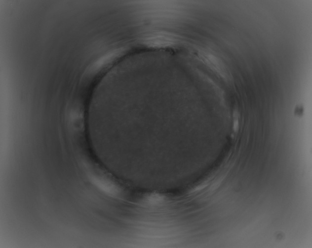 X0000094960547200712131647