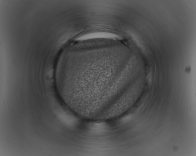 X0000094960548200712131647