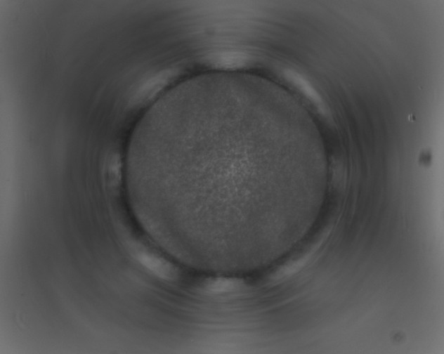 X0000094960549200712131647