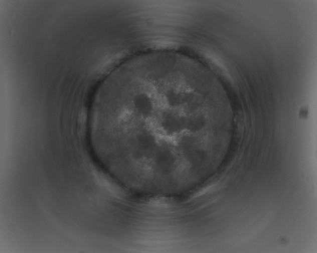 X0000094960550200712131647