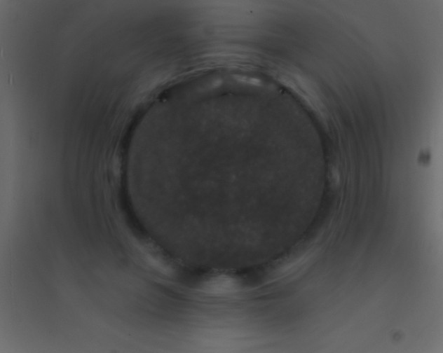 X0000094960551200712131647