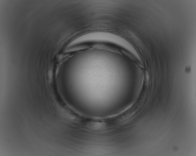 X0000094960552200712131647