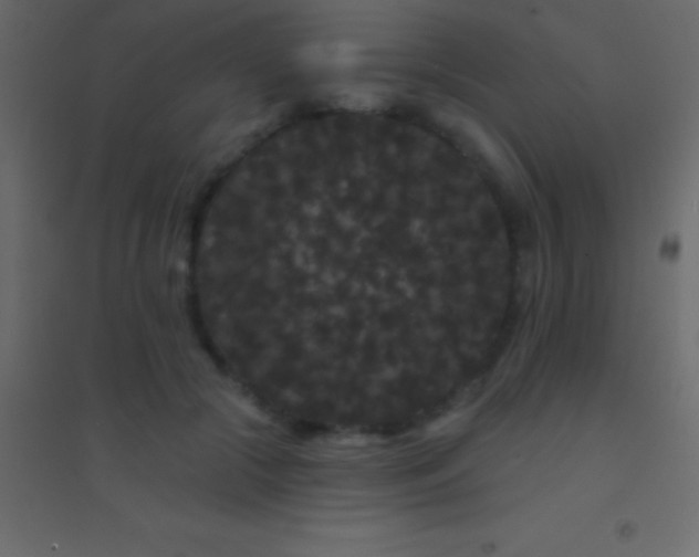 X0000094960553200712131647