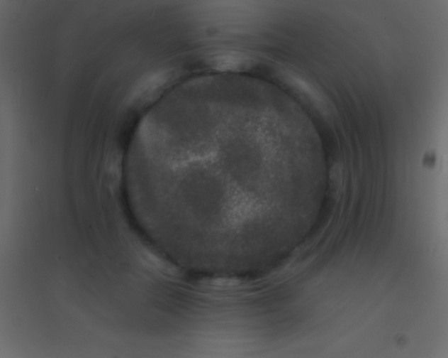 X0000094960554200712131647