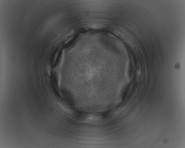 X0000094960555200712131647