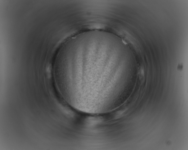 X0000094960556200712131647