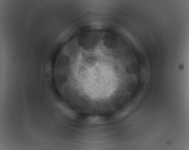 X0000094960557200712131647