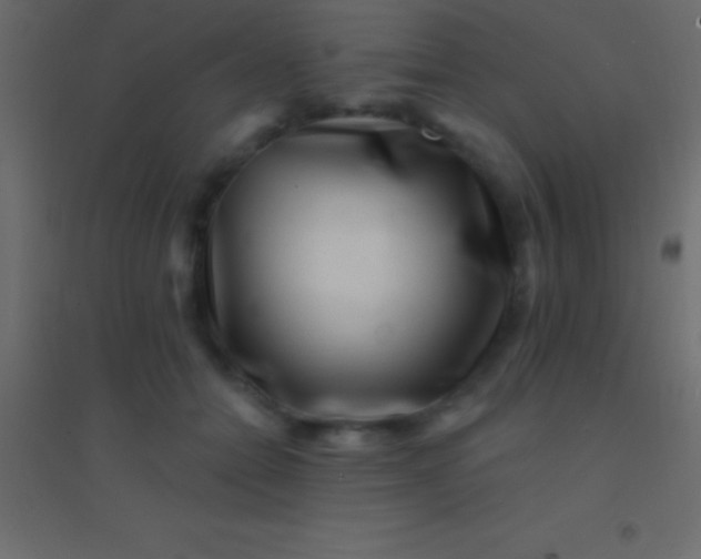 X0000094960558200712131647