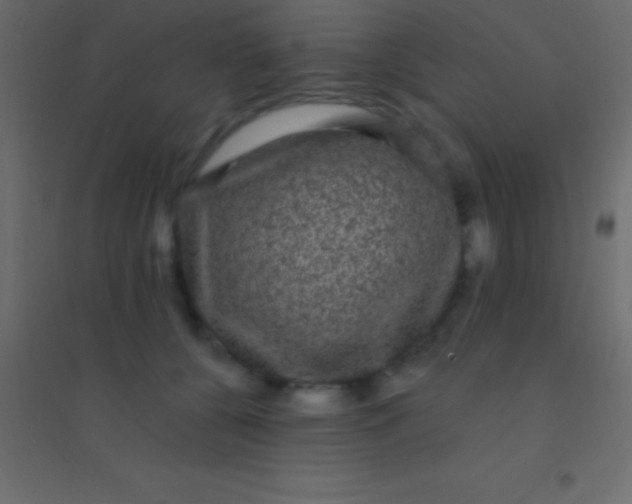 X0000094960560200712131647