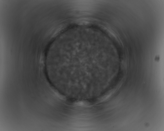 X0000094960561200712131647