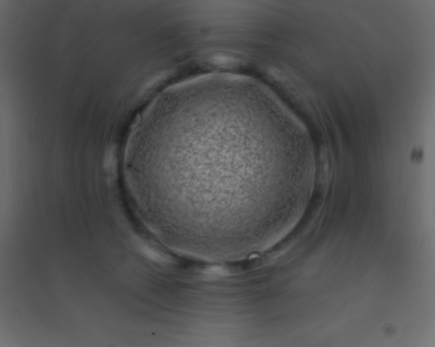 X0000094960562200712131647