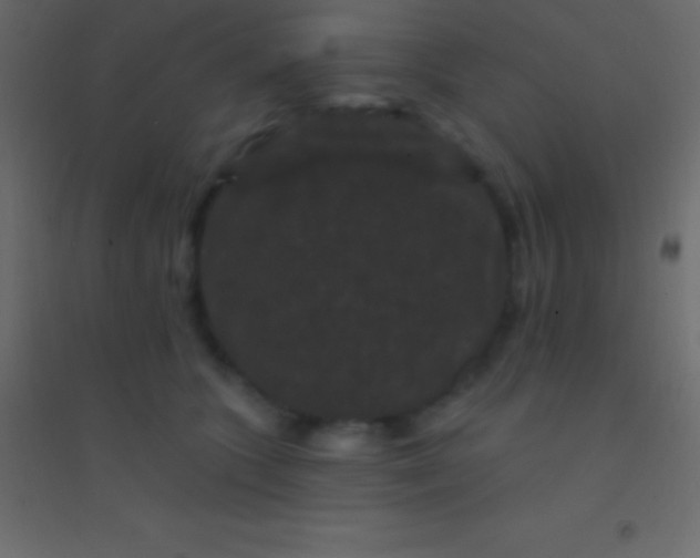 X0000094960563200712131647