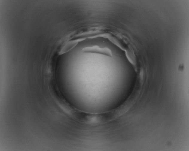 X0000094960564200712131647