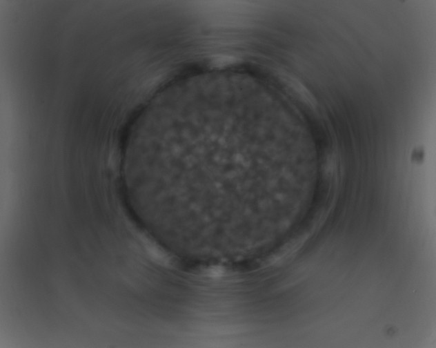 X0000094960565200712131647