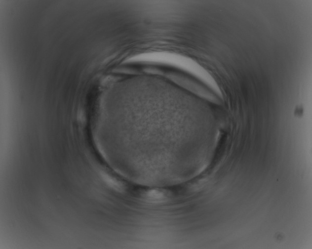 X0000094960566200712131647