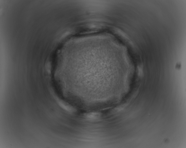 X0000094960567200712131647