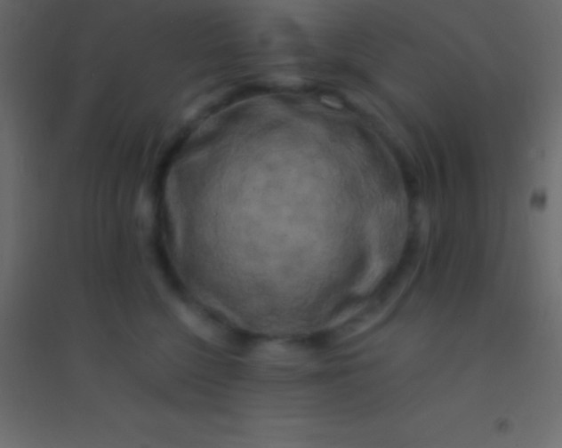 X0000094960568200712131647