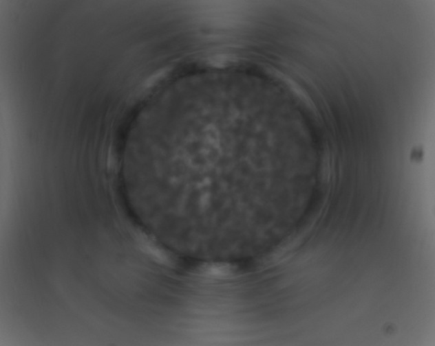 X0000094960569200712131647