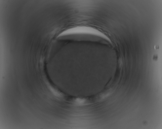 X0000094960570200712131647