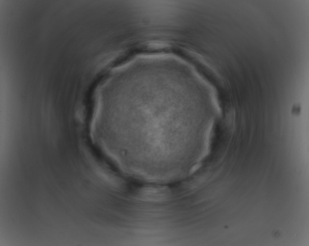 X0000094960571200712131647