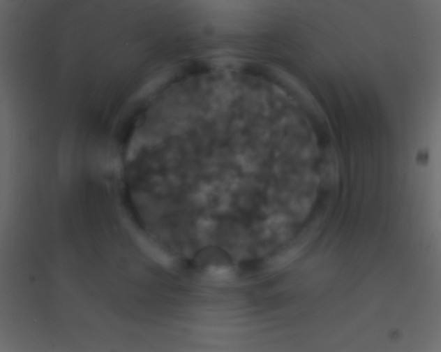 X0000094960573200712131647