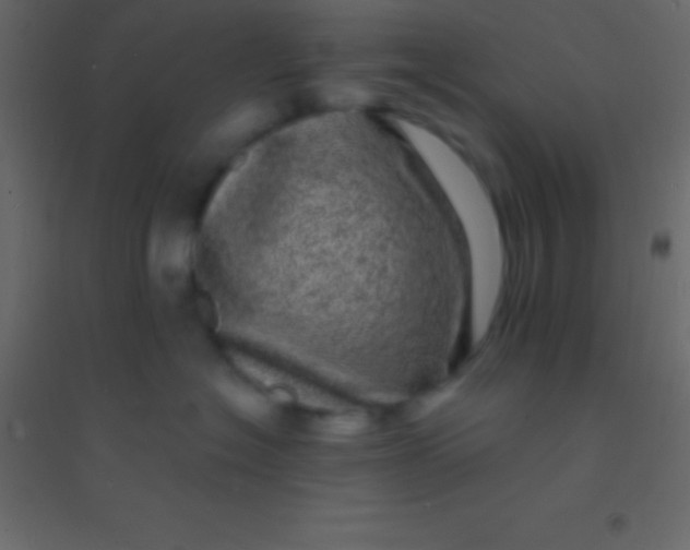 X0000094960574200712131647